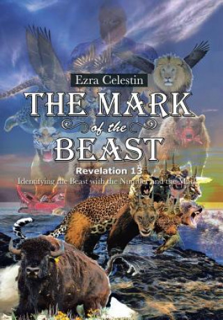 Mark of the Beast Revelation 13