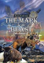 Mark of the Beast Revelation 13