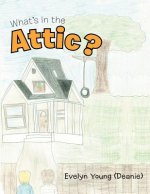What's In the Attic?