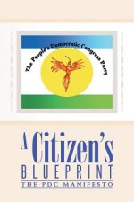 Citizen's Blueprint