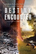 Destiny Encounter