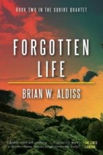 Forgotten Life