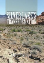 Silver Lake's Transformation