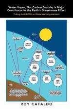 Water Vapor, Not Carbon Dioxide, Is Major Contributor to the Earth's Greenhouse Effect