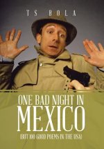 One Bad Night in Mexico
