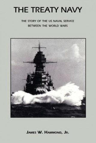 Treaty Navy
