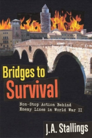 Bridges to Survival
