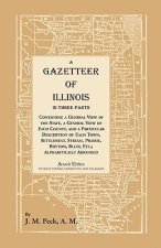 Gazetteer of Illinois In Three Parts Containing a General View of the State, a General View of Each County, and a particular description of each town,