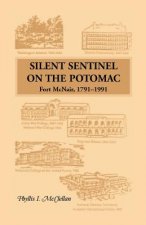 Silent Sentinel on the Potomac