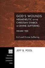 God's Wounds: Hermeneutic of the Christian Symbol of Divine Suffering, Volume Two