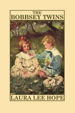Bobbsey Twins