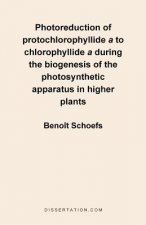 Photoreduction of Protochlorophyllide A to Chlorophyllide a During the Biogenesis of the Photosynthetic Apparatus in Higher Plants