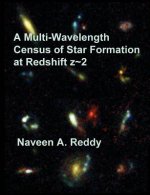 Multi-Wavelength Census of Star Formation at Redshift z 2
