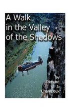 Walk in the Valley of the Shadows