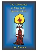 Adventures of Miss Kitty