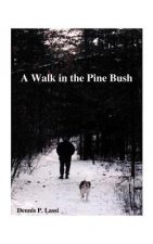 Walk in the Pine Bush
