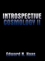 Introspective Cosmology II