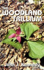 Woodland Trillium