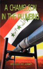 Chameleon in the Plumbing