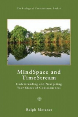 Mindspace and Timestream