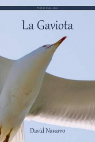 Gaviota