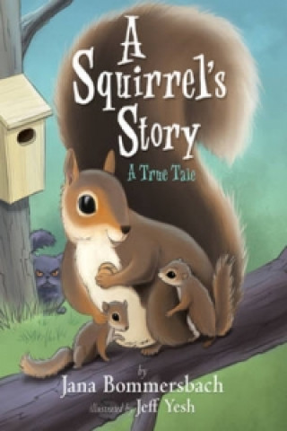 Squirrel's Story