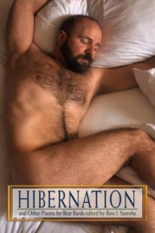 Hibernation and Other Poems by Bear Bards