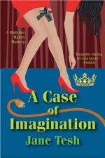 Case of Imagination LP