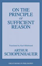 On the Principle of Sufficient Reason