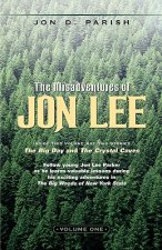 Misadventures of Jon Lee-Volume 1