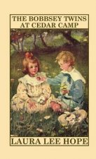 Bobbsey Twins at Cedar Camp