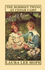 Bobbsey Twins at Cedar Camp