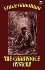 Champdoce Mystery