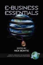 E-Business Essentials (PB)