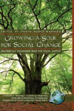 Growing a Soul for Social Change