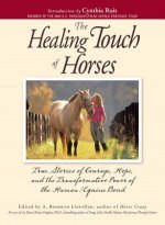 Healing Touch of Horses
