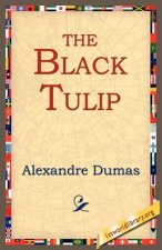 Black Tulip