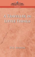 Traveller in Little Things