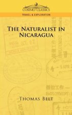 Naturalist in Nicaragua