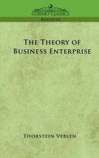 Theory of Business Enterprise