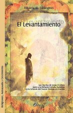 Levantamiento