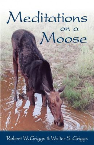 Meditations on a Moose