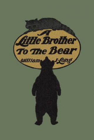 Little Brother to the Bear