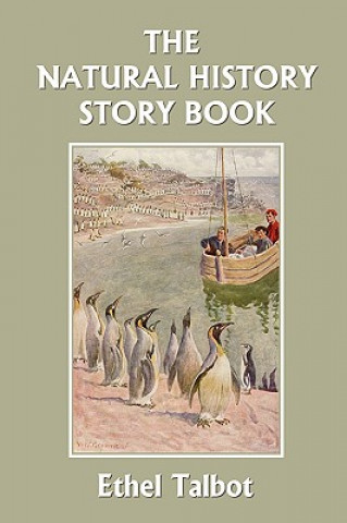 Natural History Story Book (Yesterday's Classics)