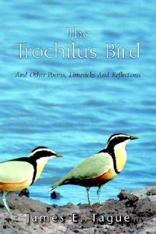 Trochilus Bird