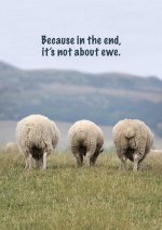 Because in the End, it's Not About Ewe
