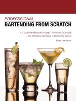 Professional Bartending from Scratch