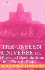 Unseen Universe, or Physical Speculations on a Future State