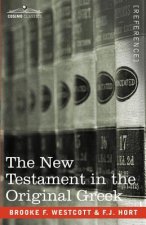 New Testament in the Original Greek