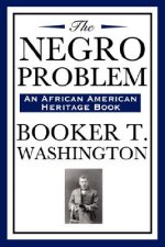 Negro Problem (an African American Heritage Book)